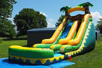 Tropical Water Slide