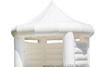 Wedding Bouncer With Roof Afc125
