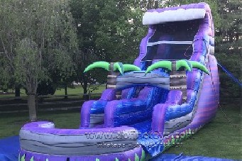 Purple Palm tree Water Slide Afs212