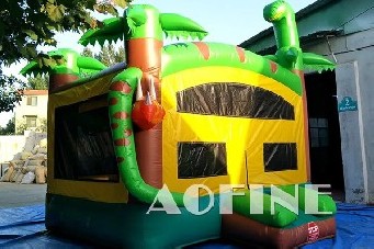 Dinosaur Bouncer Afc05