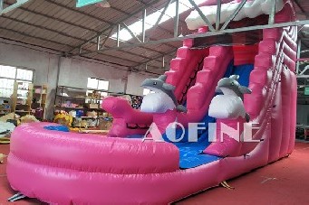 Dolphin Water Slide Afs73