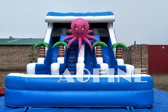 Octopus Water Slide Afs75