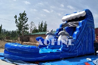 Dolphin Water Slide Afs77