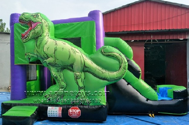 Dinosaur Bouncer Water Slide Combo