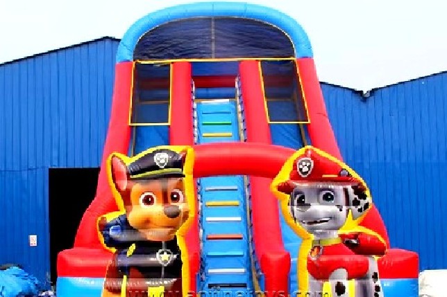 Paw Patrol Slide