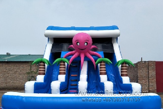 Octopus Water Slide