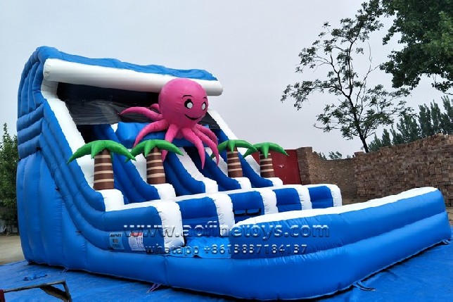 Octopus Water Slide