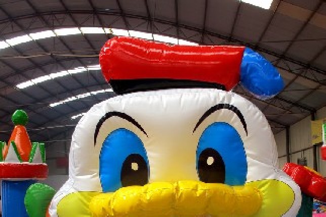 Duck theme bouncer playzone