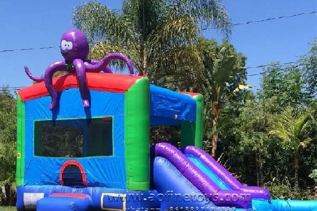 Octopus Slide Combo