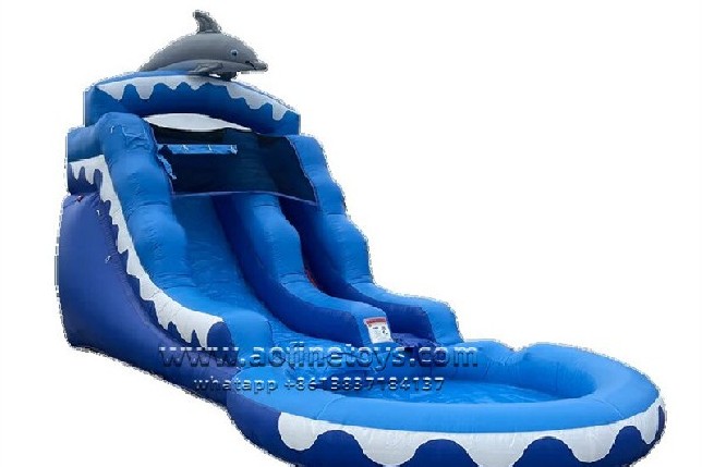Dolphin Water Slide