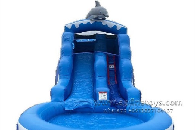 Dolphin Water Slide