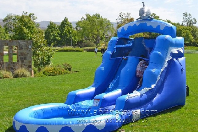 Dolphin Water Slide