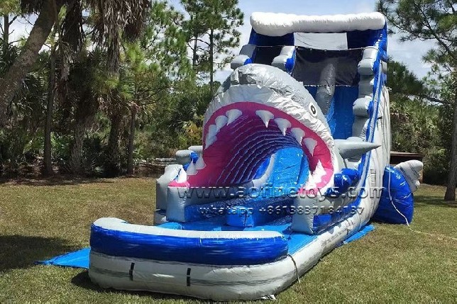 Shark Water Slide