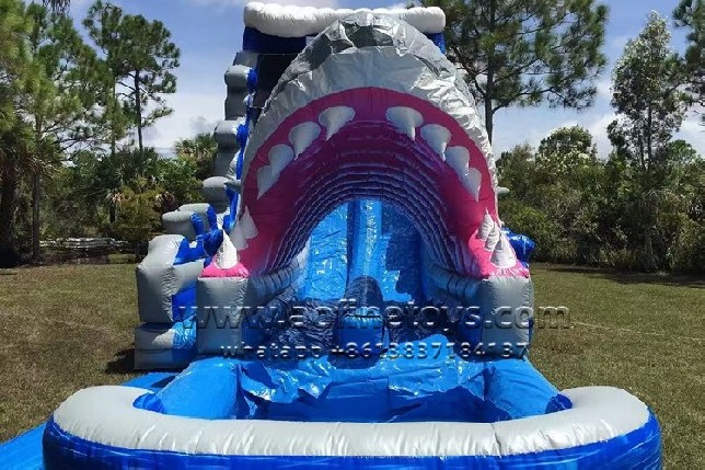 Shark Water Slide