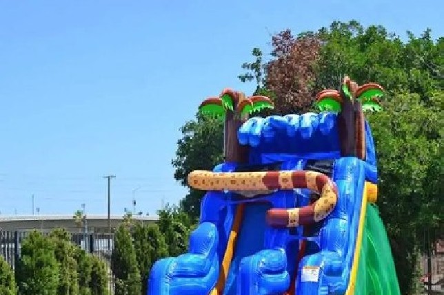 hidden jaguar water slide