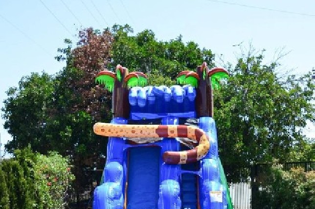hidden jaguar water slide