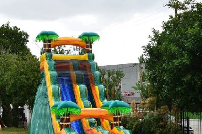Cali Palms Water Slide