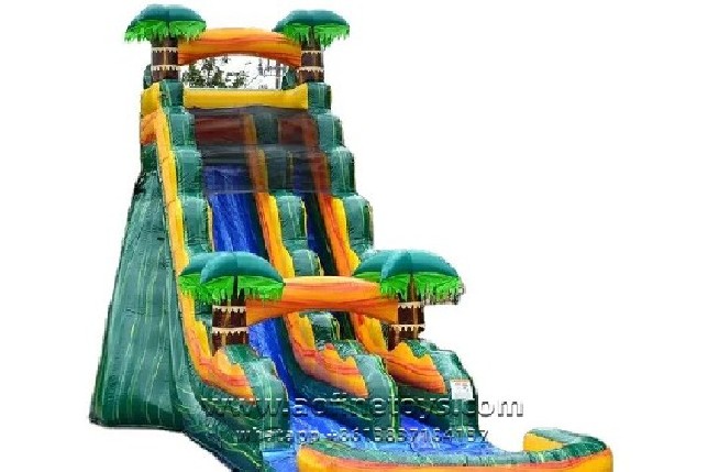 Cali Palms Water Slide