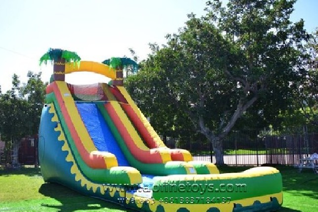 Tropical Water Slide
