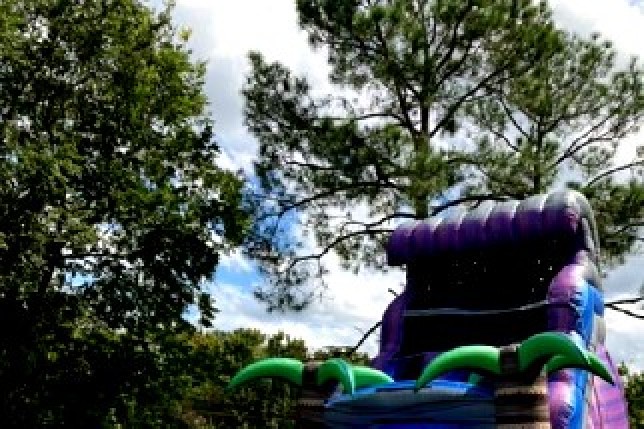 Purple Palm tree Water Slide Afs212