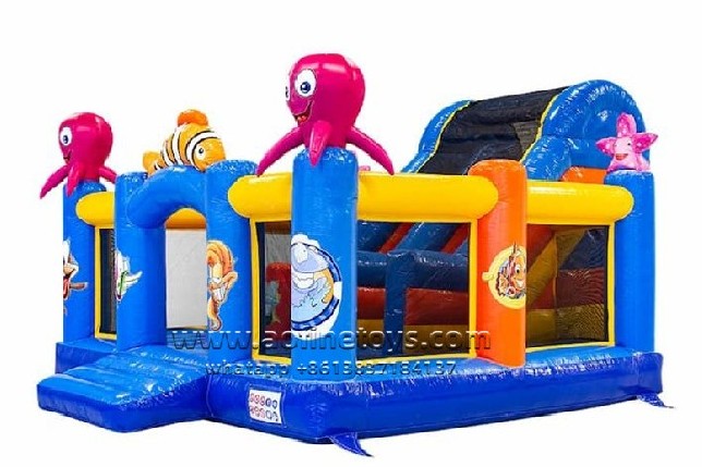 Seaworld castle playground Afl05