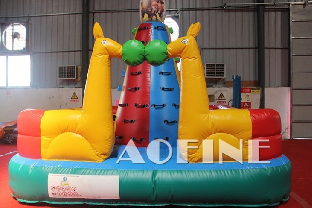 Climbing Wall Afp11