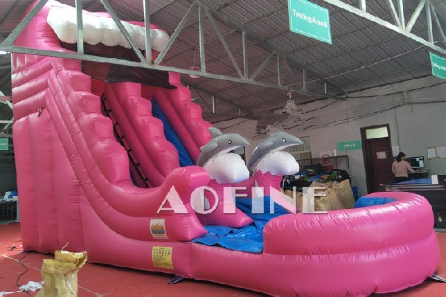 Dolphin Water Slide Afs73