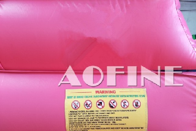 Dolphin Water Slide Afs73