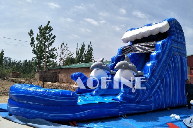 Dolphin Water Slide Afs77