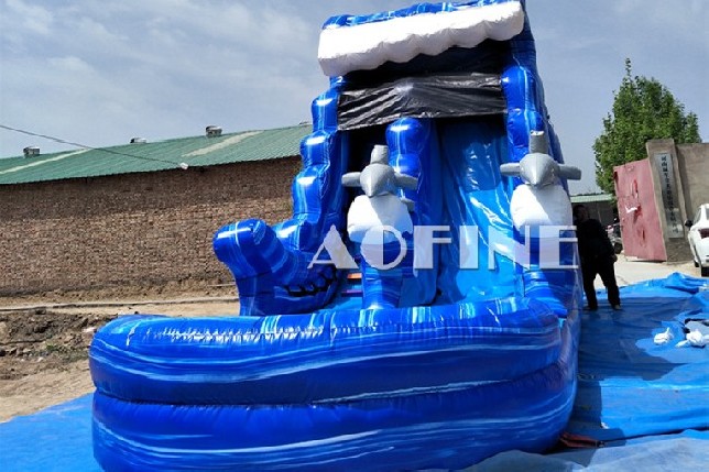 Dolphin Water Slide Afs77