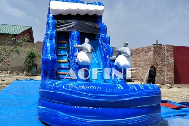 Dolphin Water Slide Afs77