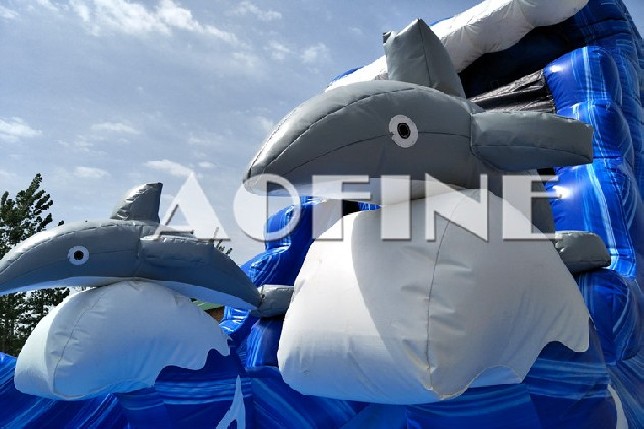 Dolphin Water Slide Afs77
